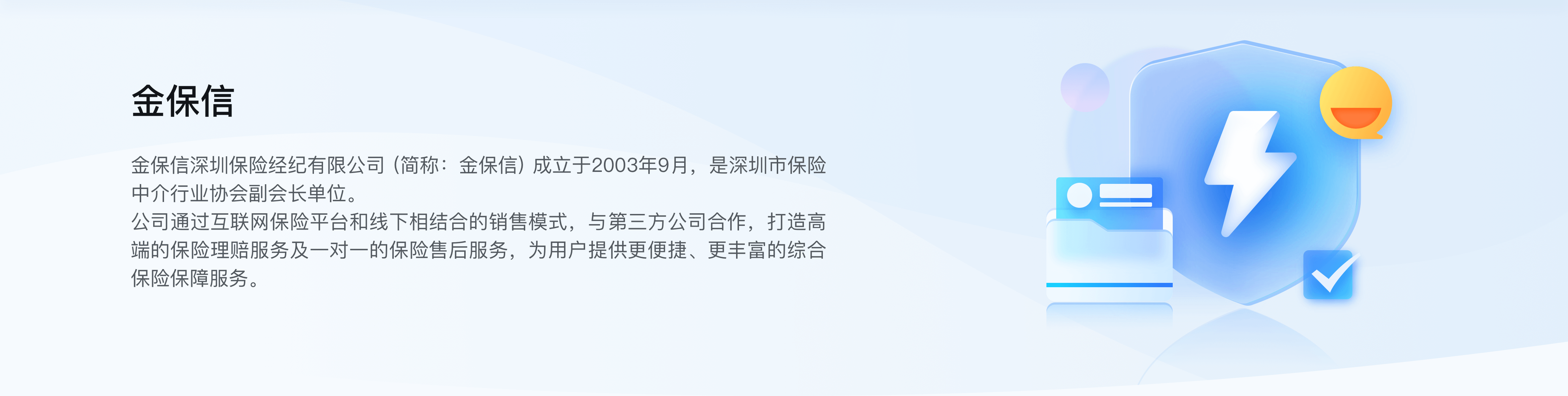 金保信公司简介